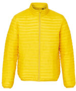 Tribe fineline padded jacket - Image 2