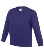 Kids Academy v-neck sweatshirt - Image 6