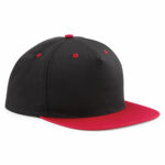 5-panel contrast snapback