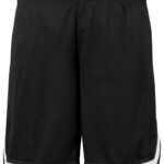 Two-tone mesh shorts