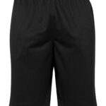 Mesh shorts