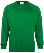 Kids Coloursure™ sweatshirt - Image 4