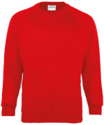 Kids Coloursure™ sweatshirt - Image 6