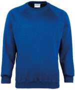 Kids Coloursure™ sweatshirt - Image 7