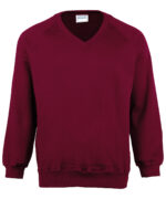 Kids Coloursure™ v-neck sweatshirt - Image 3