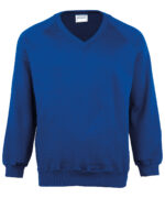 Kids Coloursure™ v-neck sweatshirt - Image 6