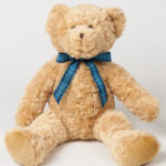 Bracken bear