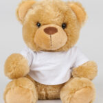 Bear in a t-shirt