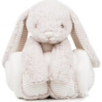 Rabbit and blanket