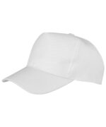 Boston 5-panel polycotton printer's cap - Image 16