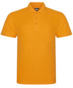 Pro polo - Image 10