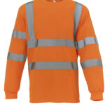 Hi-vis long sleeve t-shirt (HVJ420)
