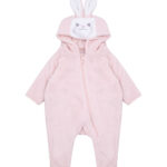 Rabbit all-in-one