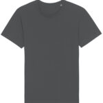 Rocker the essential unisex t-shirt (STTU758)
