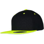 The classic snapback 2-tone  (6089MT)