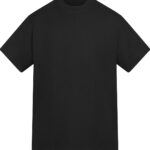 Anthem Amplify heavyweight t-shirt