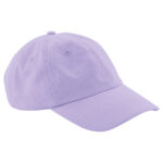 Junior low-profile 6-panel dad cap