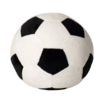 Zippie football