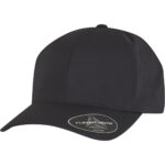 Flexfit Delta snapback (180AP)