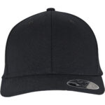 110 Flexfit curved snapback (9293)
