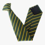 Northgate Clip on Tie