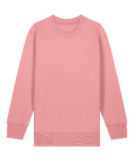 Kids Mini Changer 2.0 iconic crew neck sweatshirt (STSK181) - Image 14