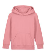 Kids Mini Cruiser 2.0 iconic hoodie sweatshirt (STSK180) - Image 23