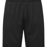 TriDri® ion-charge performance shorts