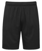 TriDri® ion-charge performance shorts